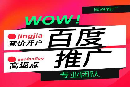 百度竞价广告投放数据分析